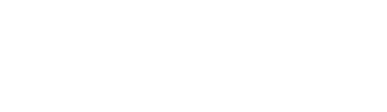 Fidelity Arms
